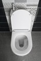 Sapho Hygie monoblokkos WC, alsó-hátsó kifolyású, lecsapódásmentes WC-ülőkével, mosdóval